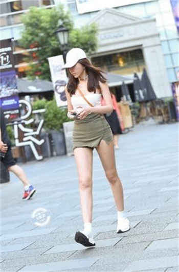 k9lady海豚是什么