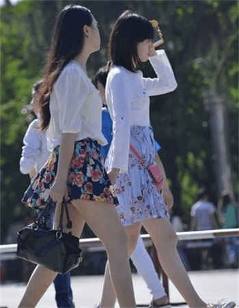 驯服美母安莎全本