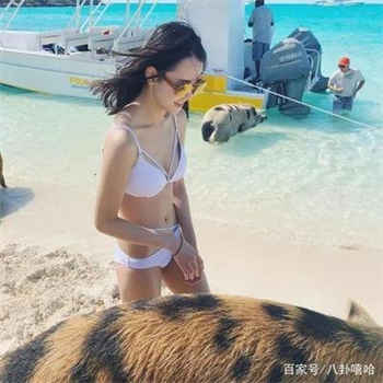 绿巨人引导下载网站