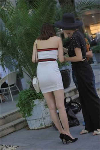 艾秋小说梨一洲