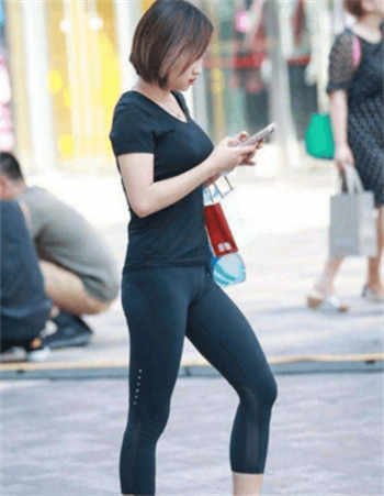 快手猪猪大哥合集破解版