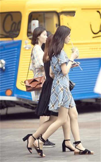 喵咪社区vip账号共享
