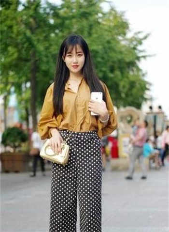 沈樵数学课种子链接