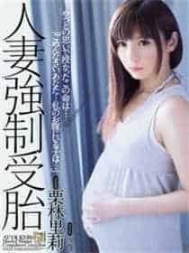 浓情蜜意雁如归